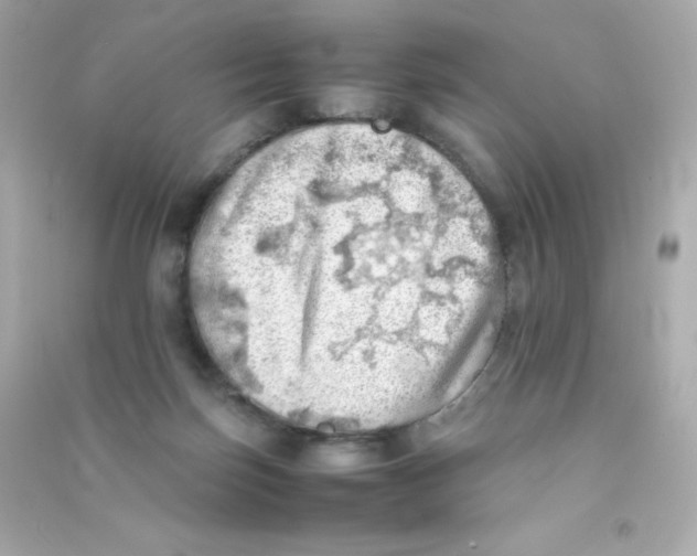 X0000090430171200708102013