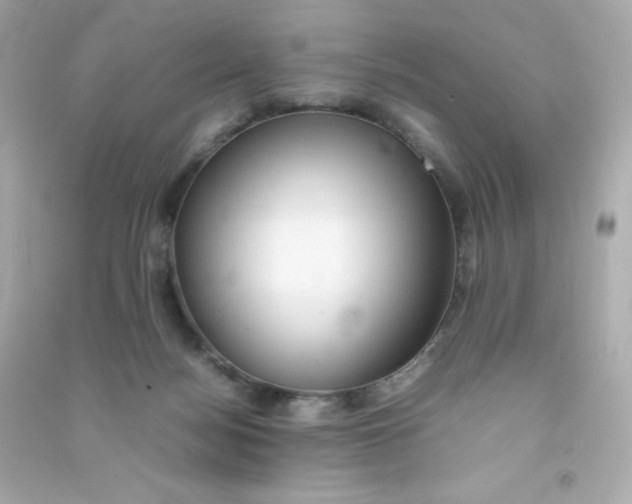 X0000090430172200708102013
