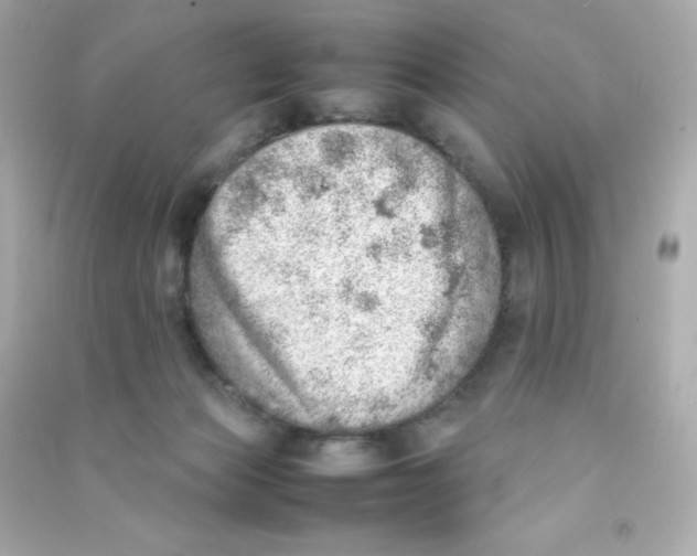 X0000090430173200708102013