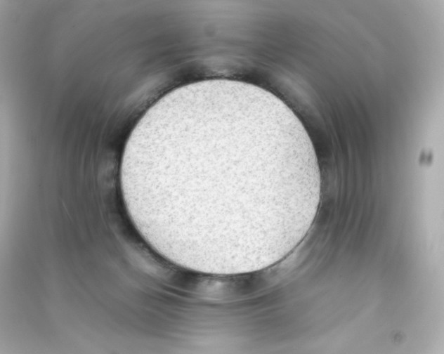 X0000090430174200708102013