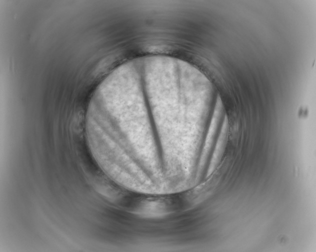 X0000090430175200708102013