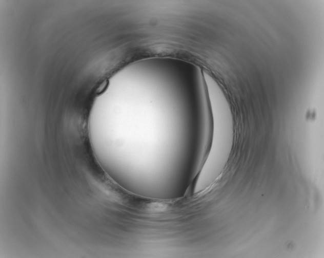 X0000090430176200708102013