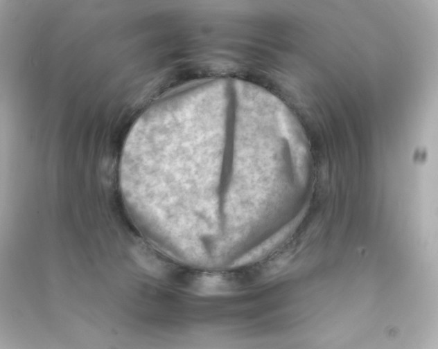 X0000090430177200708102013