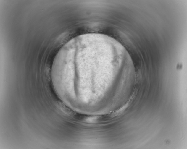 X0000090430178200708102013