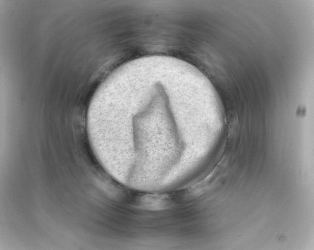 X0000090430179200708102013