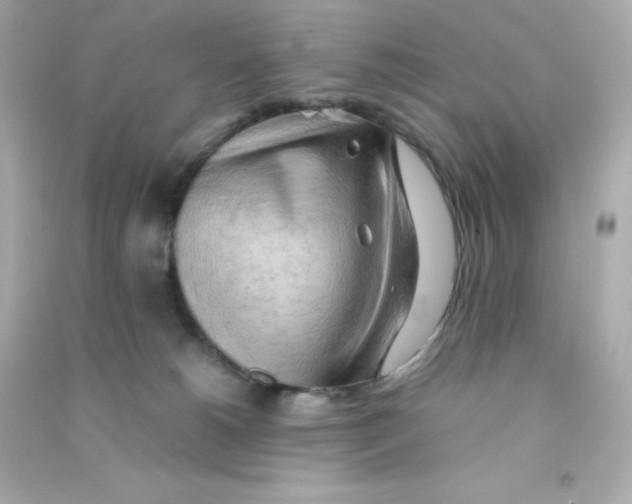 X0000090430180200708102013