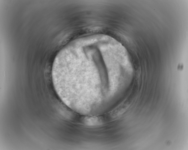 X0000090430181200708102013