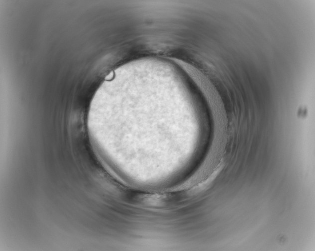 X0000090430182200708102013