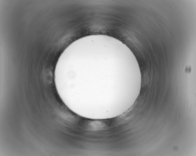 X0000090430183200708102013