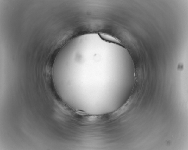 X0000090430184200708102013