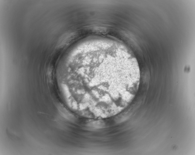 X0000090430185200708102013