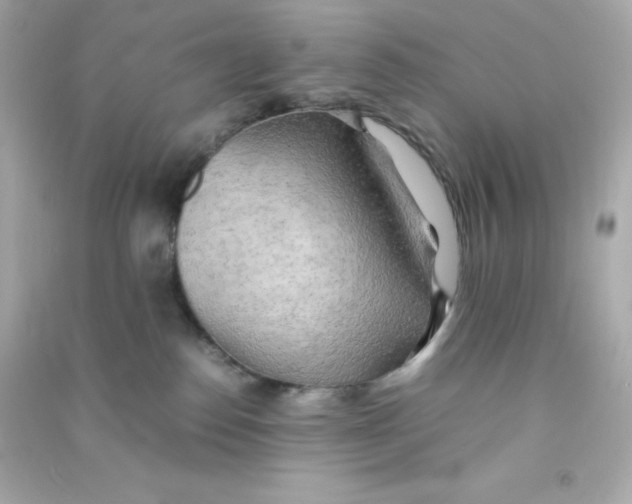 X0000090430186200708102013