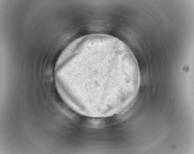 X0000090430187200708102013