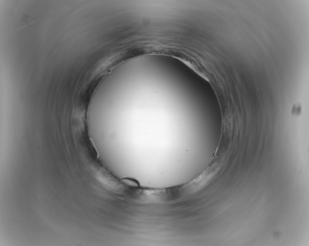 X0000090430188200708102013