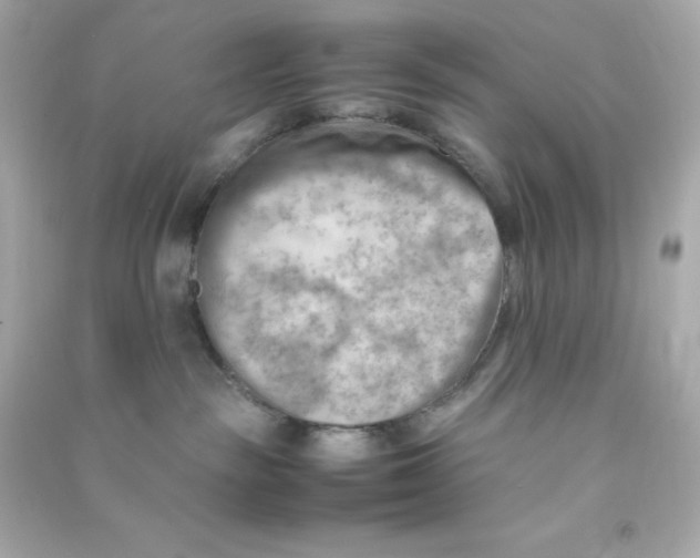X0000090430189200708102013