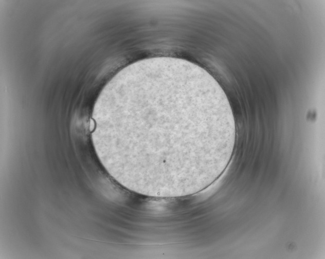 X0000090430190200708102013