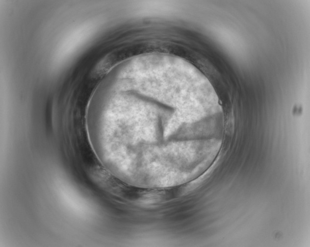 X0000090430191200708102013