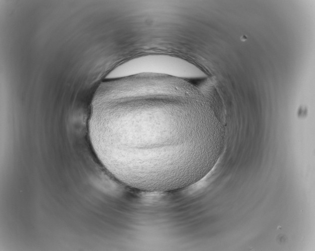 X0000090430192200708102013