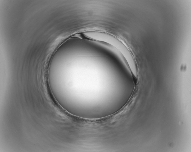 X0000090430193200708102012