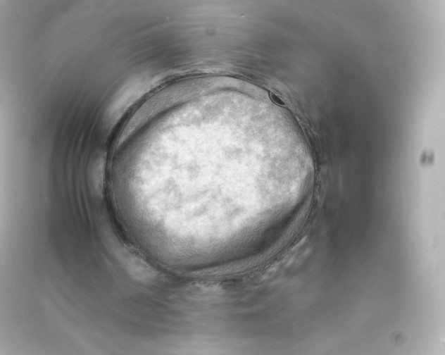 X0000090430194200708102012
