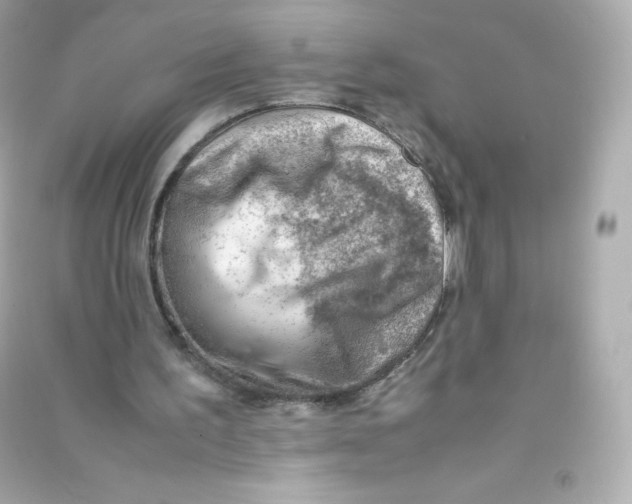 X0000090430195200708102012
