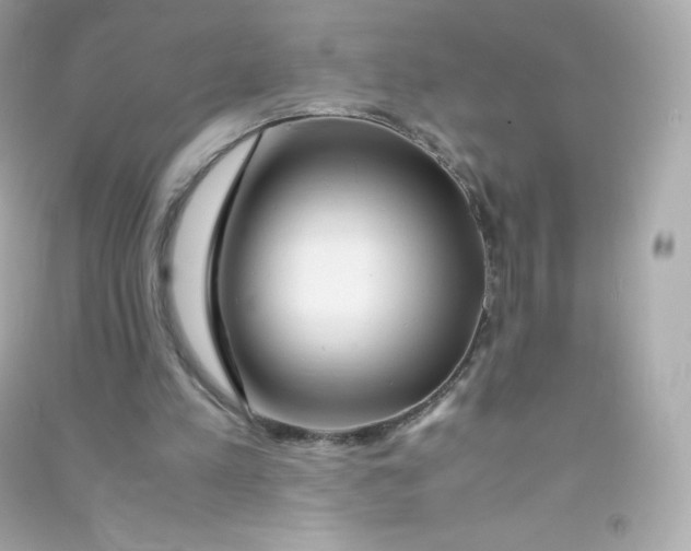 X0000090430197200708102012