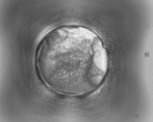 X0000090430199200708102012