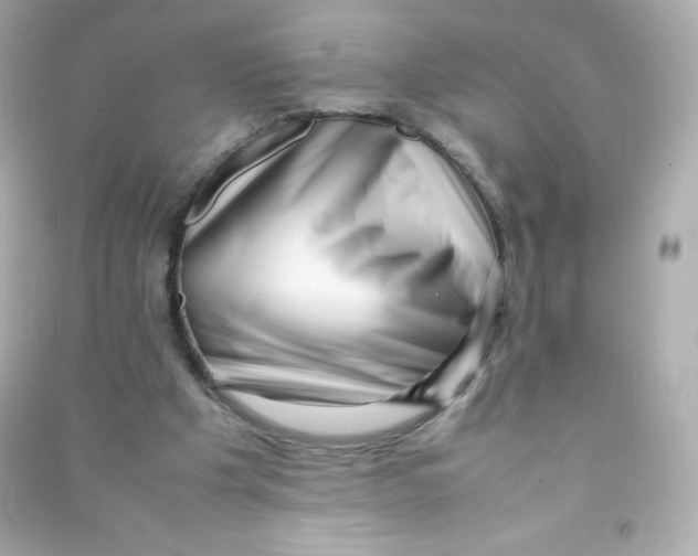 X0000090430201200708102012