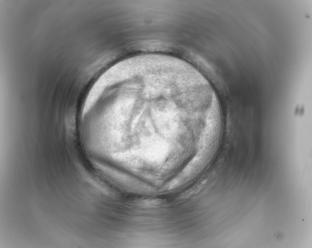 X0000090430202200708102012