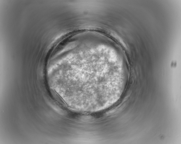 X0000090430203200708102012