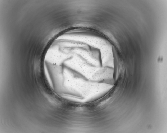 X0000090430204200708102012