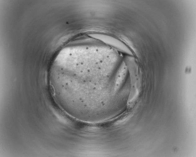 X0000090430205200708102012