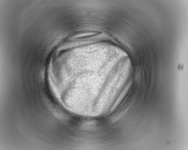 X0000090430206200708102012