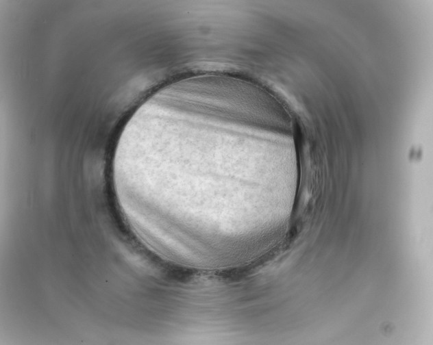 X0000090430207200708102012