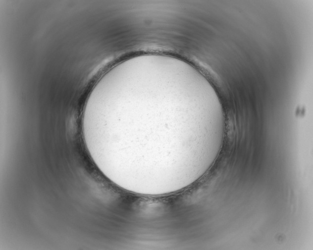 X0000090430208200708102012