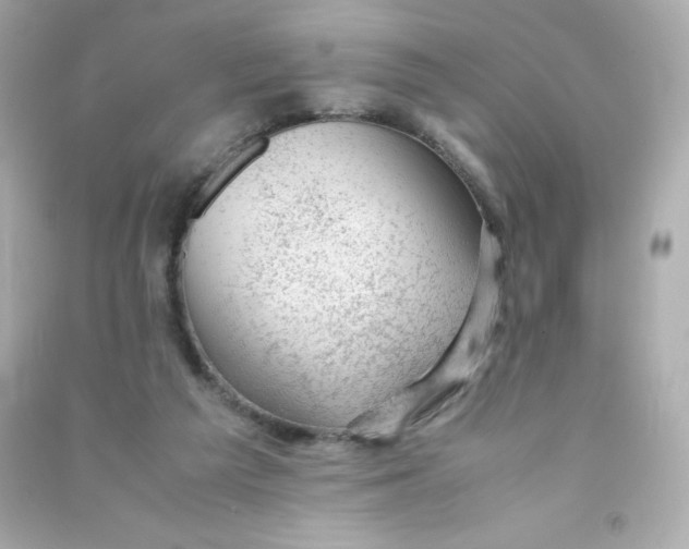 X0000090430209200708102012