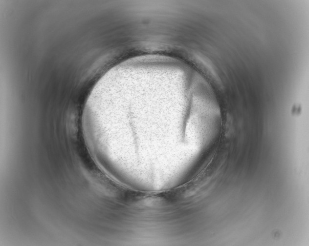 X0000090430210200708102012