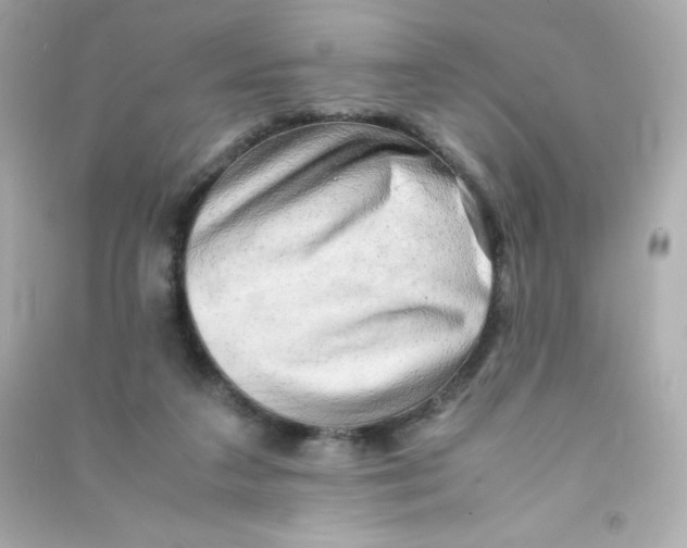 X0000090430211200708102012