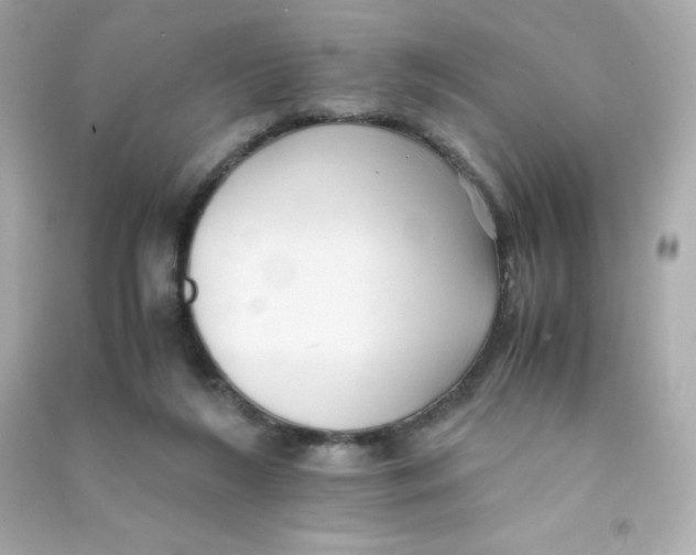 X0000090430212200708102012