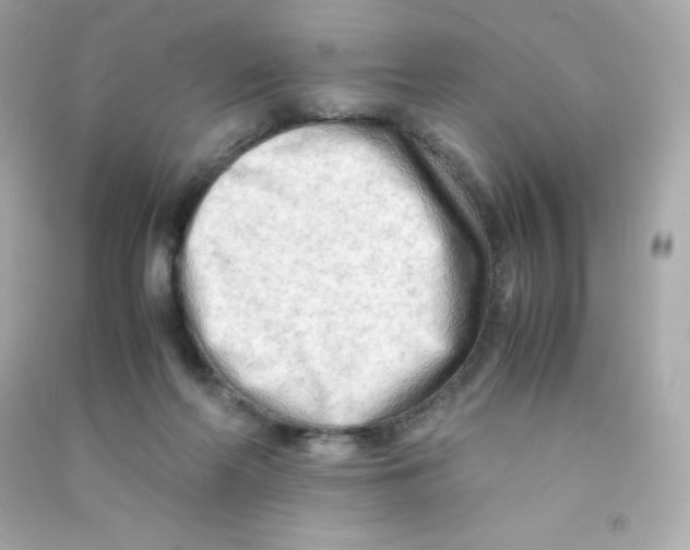 X0000090430214200708102012