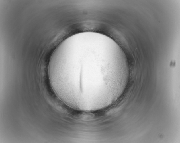 X0000090430215200708102012