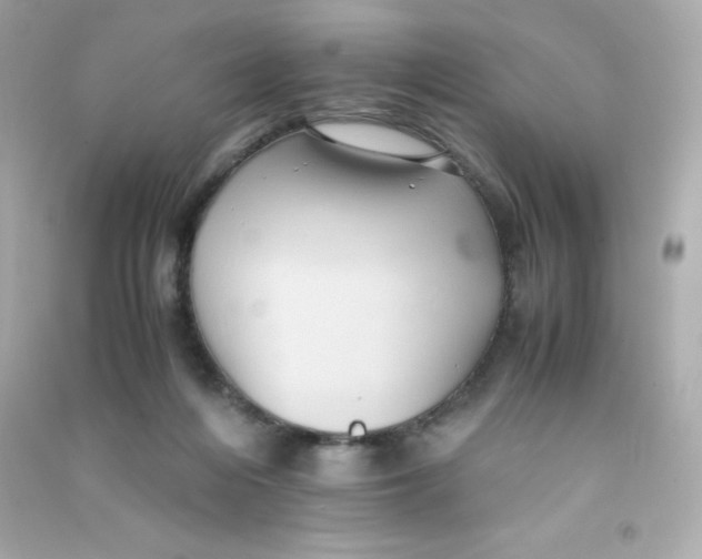 X0000090430216200708102012