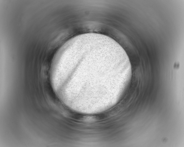 X0000090430218200708102012