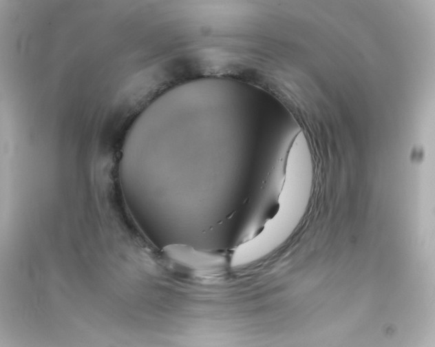 X0000090430219200708102012