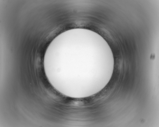 X0000090430220200708102012