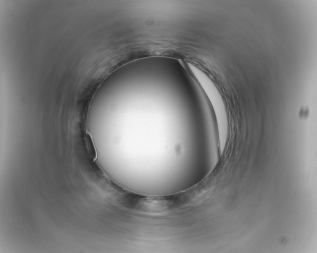 X0000090430221200708102012