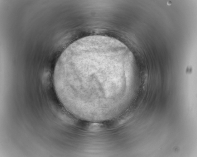 X0000090430222200708102012
