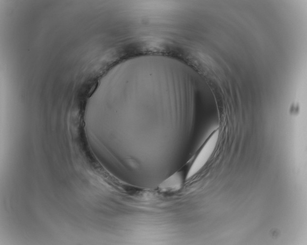 X0000090430223200708102012
