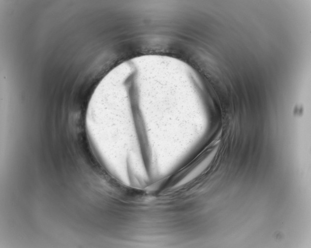 X0000090430224200708102012