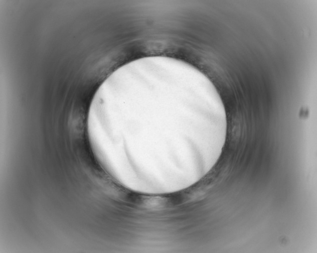 X0000090430226200708102012